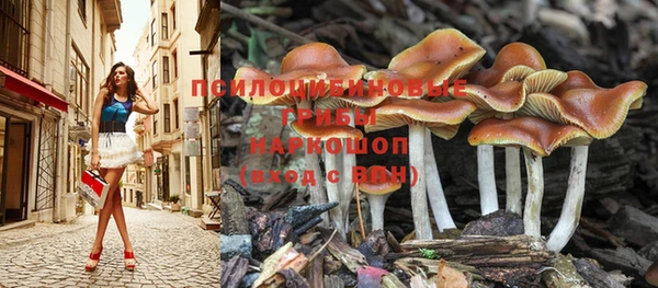 скорость Аркадак
