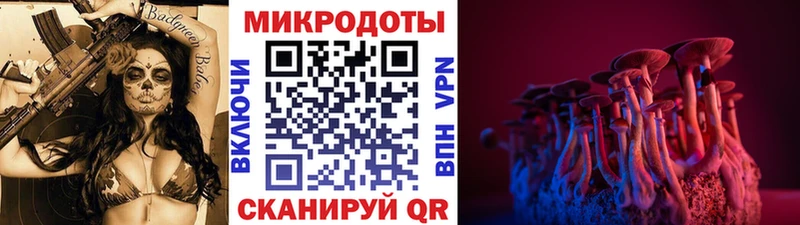 Купить закладки  Нарткала  Псилоцибиновые грибы GOLDEN TEACHER 