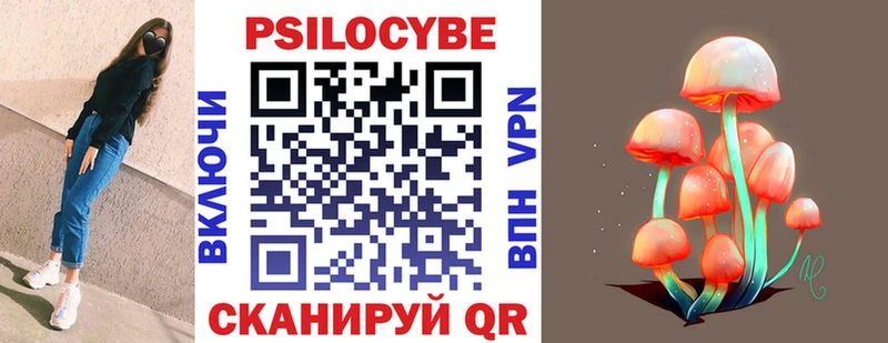 Псилоцибиновые грибы Psilocybe Нарткала
